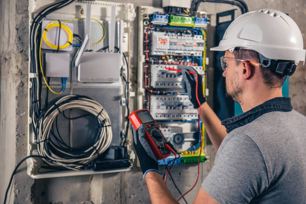 Best Electric Panel Repair  in Goodview, MN